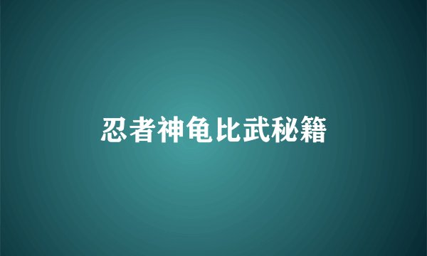 忍者神龟比武秘籍