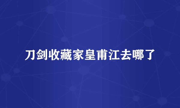 刀剑收藏家皇甫江去哪了