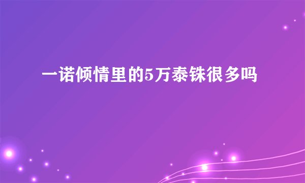 一诺倾情里的5万泰铢很多吗