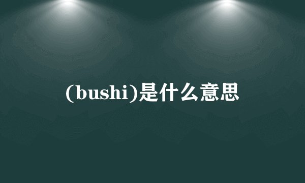 (bushi)是什么意思