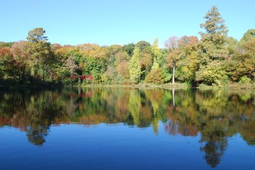 黑龙江春、夏、秋、冬的平均气温分别是多少