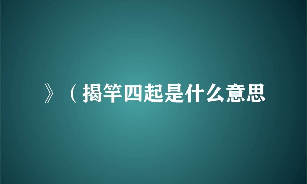》（揭竿四起是什么意思