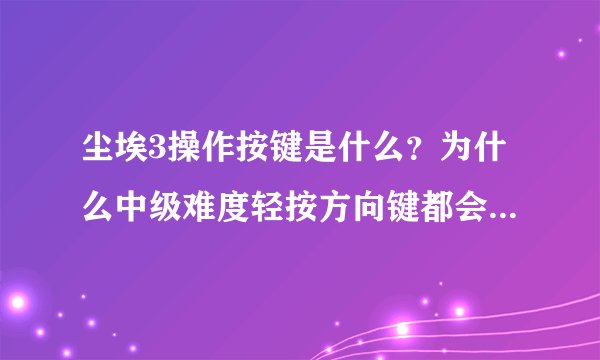 尘埃3操作按键是什么？为什么中级难度轻按方向键都会漂移？（键盘党）