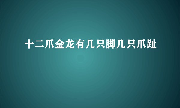 十二爪金龙有几只脚几只爪趾