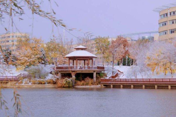 大连外国语大学口碑怎样