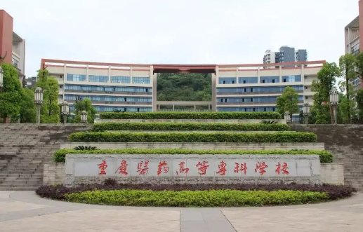 重庆医药高等专科学校分数线