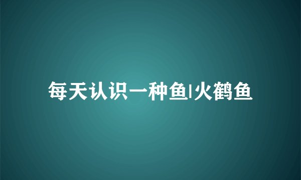每天认识一种鱼|火鹤鱼