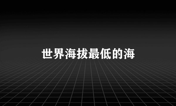 世界海拔最低的海