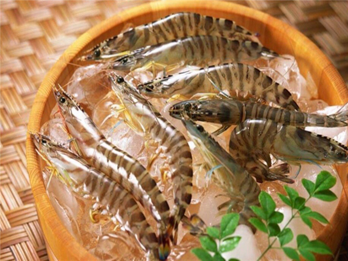 基围虾得名要因为