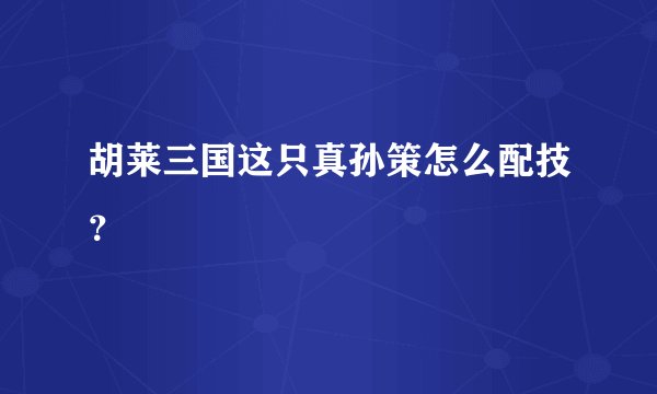 胡莱三国这只真孙策怎么配技？