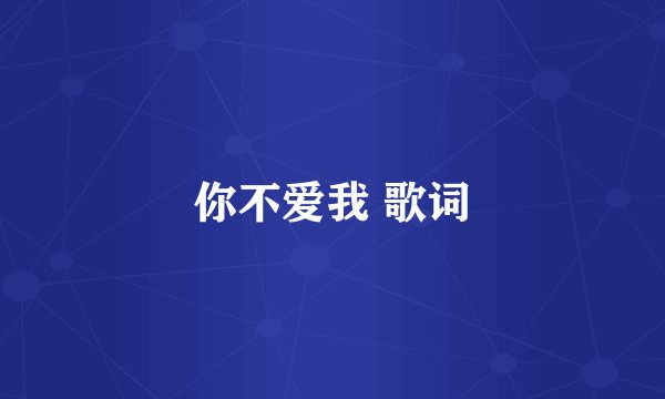 你不爱我 歌词