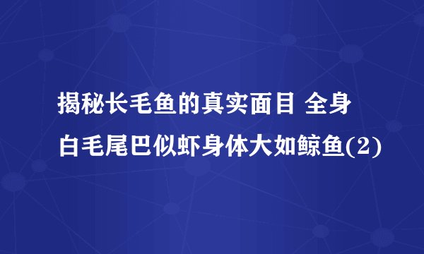 揭秘长毛鱼的真实面目 全身白毛尾巴似虾身体大如鲸鱼(2)