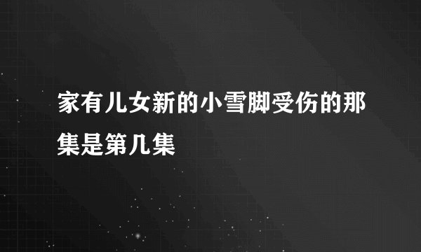家有儿女新的小雪脚受伤的那集是第几集