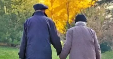 适合老年人的网站有哪些