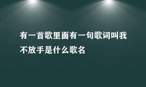 有一首歌里面有一句歌词叫我不放手是什么歌名