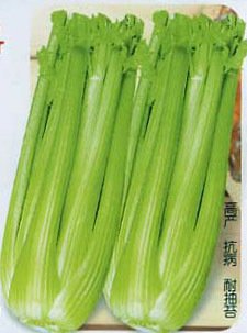 冬芹的药用价值