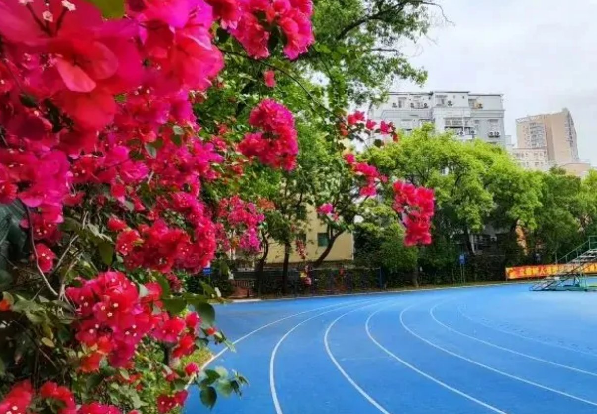 深圳西乡中学怎么样