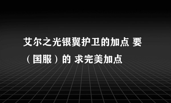 艾尔之光银翼护卫的加点 要（国服）的 求完美加点