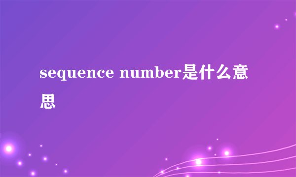 sequence number是什么意思