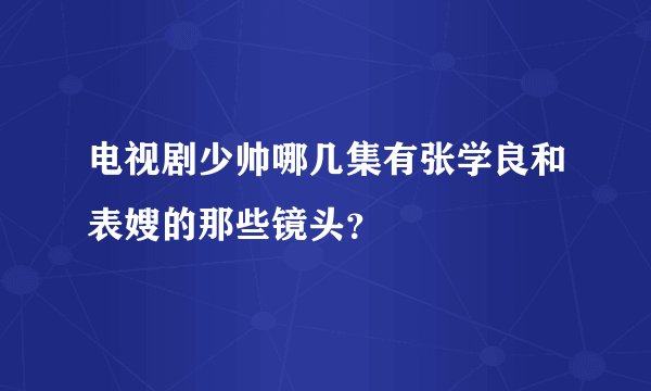 电视剧少帅哪几集有张学良和表嫂的那些镜头？