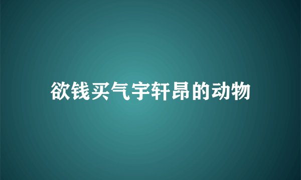 欲钱买气宇轩昂的动物