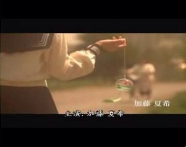 屠尸行动的剧情简介