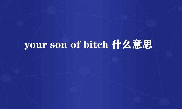 your son of bitch 什么意思