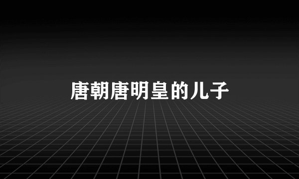 唐朝唐明皇的儿子