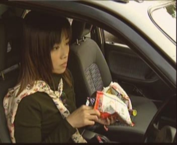 公私恋事多的介绍