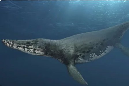 十大深海巨兽都是什么？