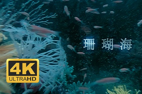 适合两个人看的mv