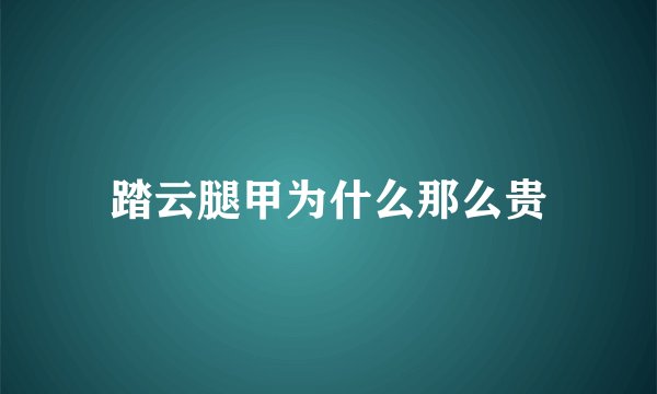 踏云腿甲为什么那么贵