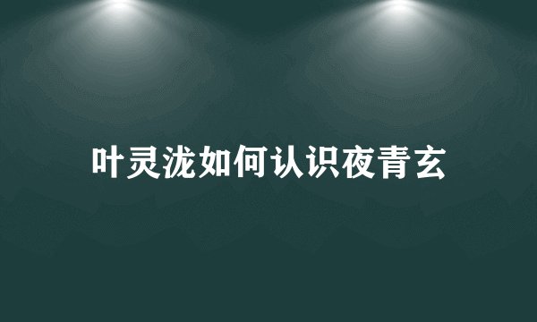 叶灵泷如何认识夜青玄
