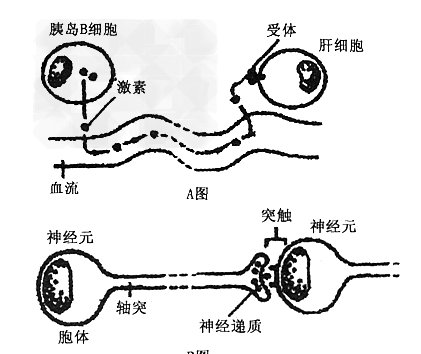 计算机是如何把这个电信号转换成0、1的，而0、1又是怎么转换成咱们看到的字符和图像的