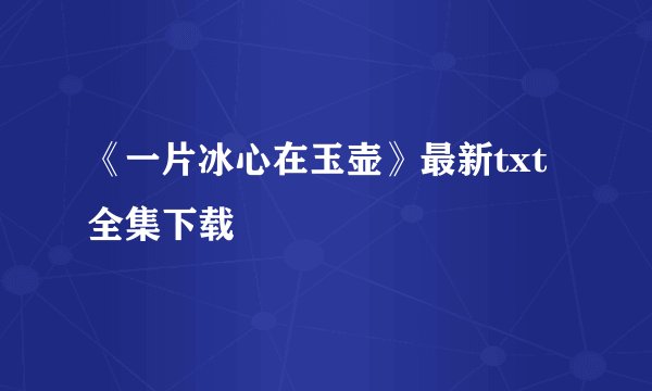 《一片冰心在玉壶》最新txt全集下载