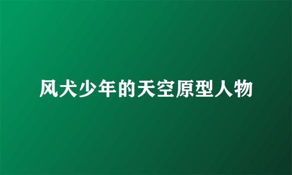 风犬少年的天空原型人物