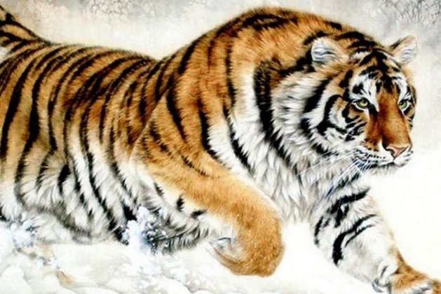 蝼蚁得志打一数字生肖