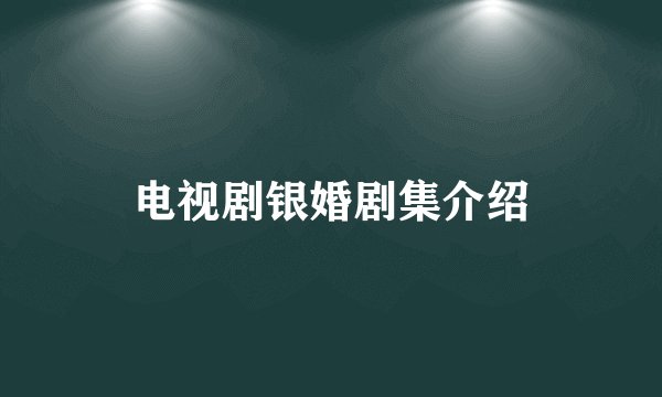 电视剧银婚剧集介绍