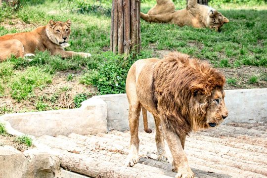 沈阳一日游攻略及路线