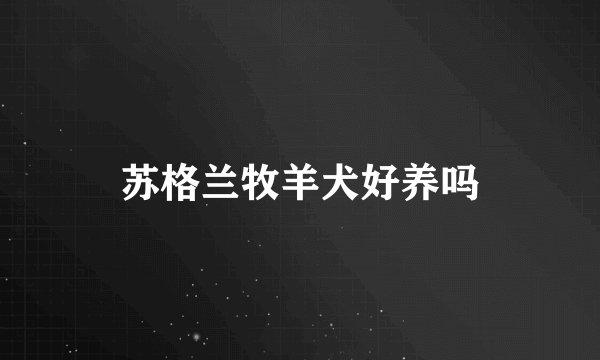 苏格兰牧羊犬好养吗
