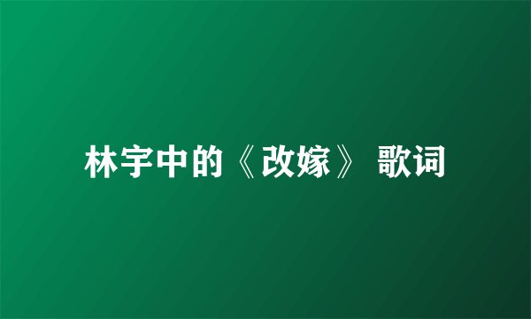 林宇中的《改嫁》 歌词