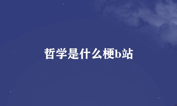 哲学是什么梗b站
