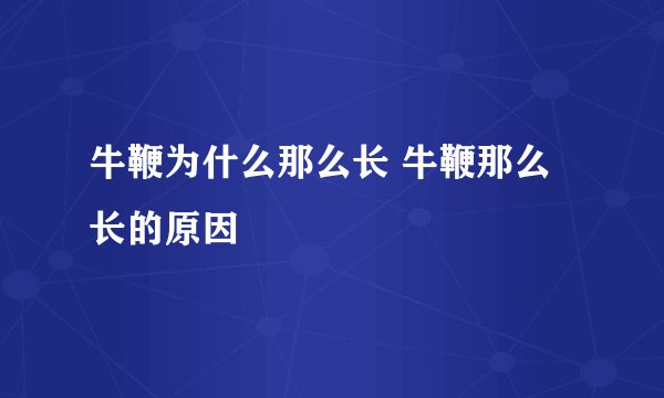 牛鞭为什么那么长 牛鞭那么长的原因