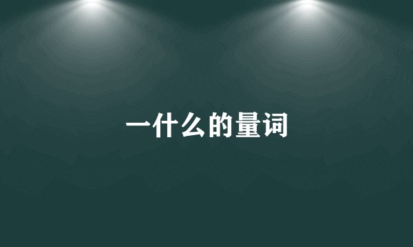 一什么的量词