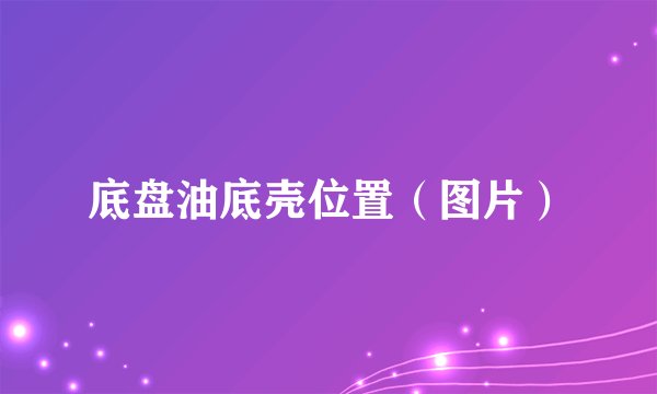 底盘油底壳位置（图片）
