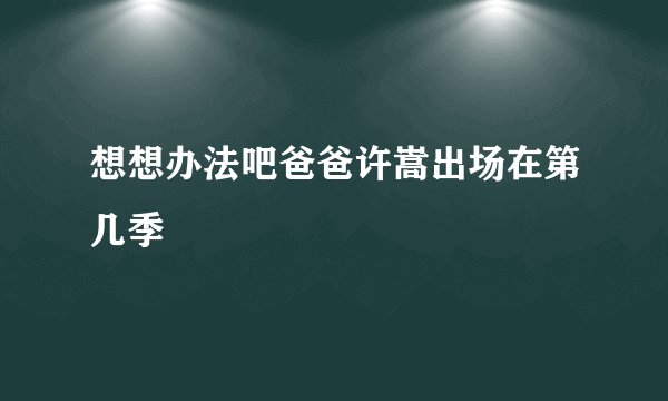 想想办法吧爸爸许嵩出场在第几季