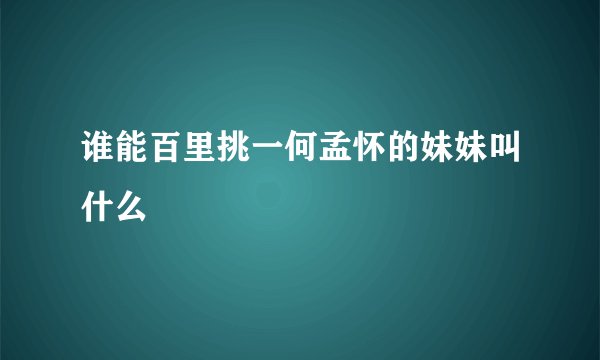 谁能百里挑一何孟怀的妹妹叫什么