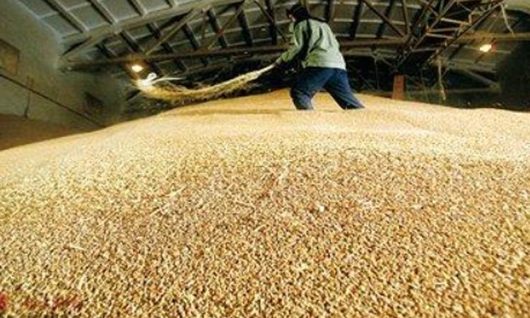 吉林一粮库玉米存在虫眼问题，相关负责人会被如何处置？