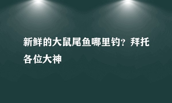新鲜的大鼠尾鱼哪里钓？拜托各位大神