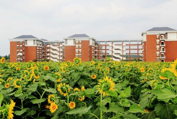淮北师范大学是几本